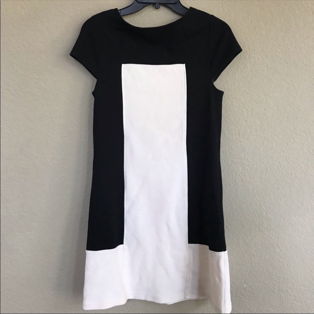 Anthropologie Maeve Corby Shift Dress View 5
